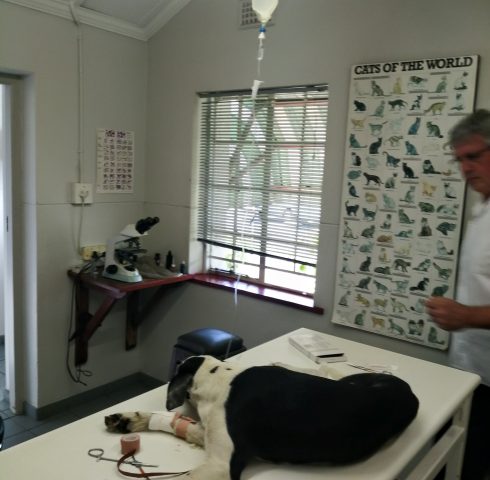 79022514_458046871521782_5959759773128720384_n 79022514_458046871521782_5959759773128720384_n